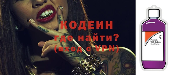 дурь Каменка