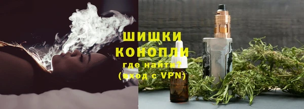 дурь Каменка