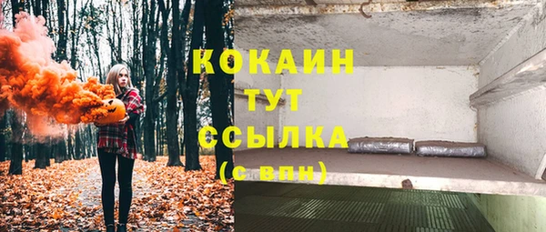 эйфоретик Каменногорск