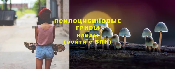 эйфоретик Каменногорск