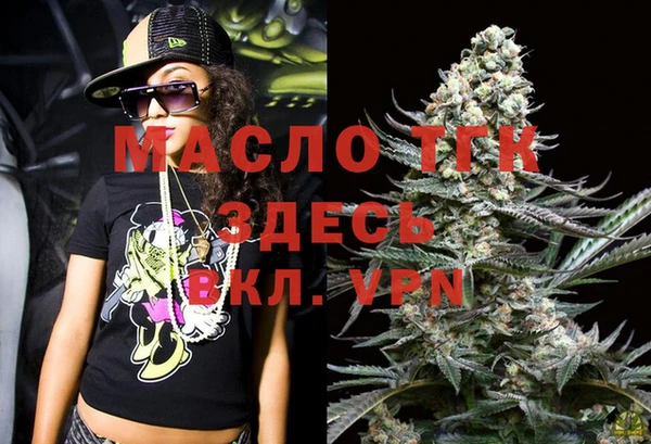 дурь Каменка