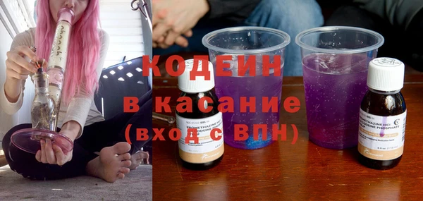 дурь Каменка