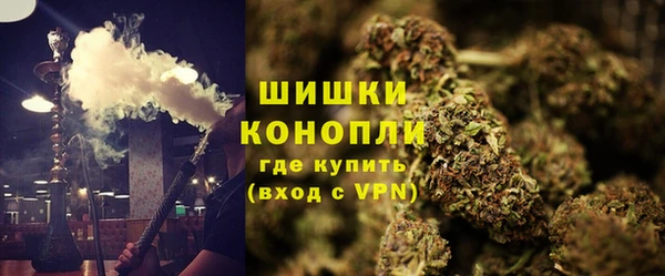дурь Каменка
