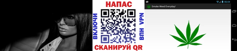 Купить где  Ельня  МАРИХУАНА THC 21% 